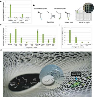 Multiscale design of cell-free biologically active architectural structures